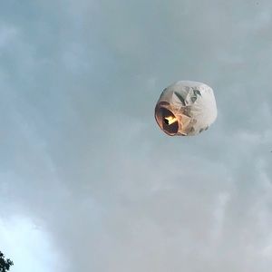 Meet your Posher, Ava